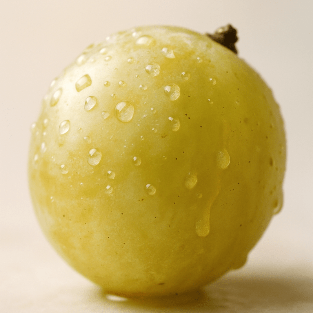 Muscaté – Image 3